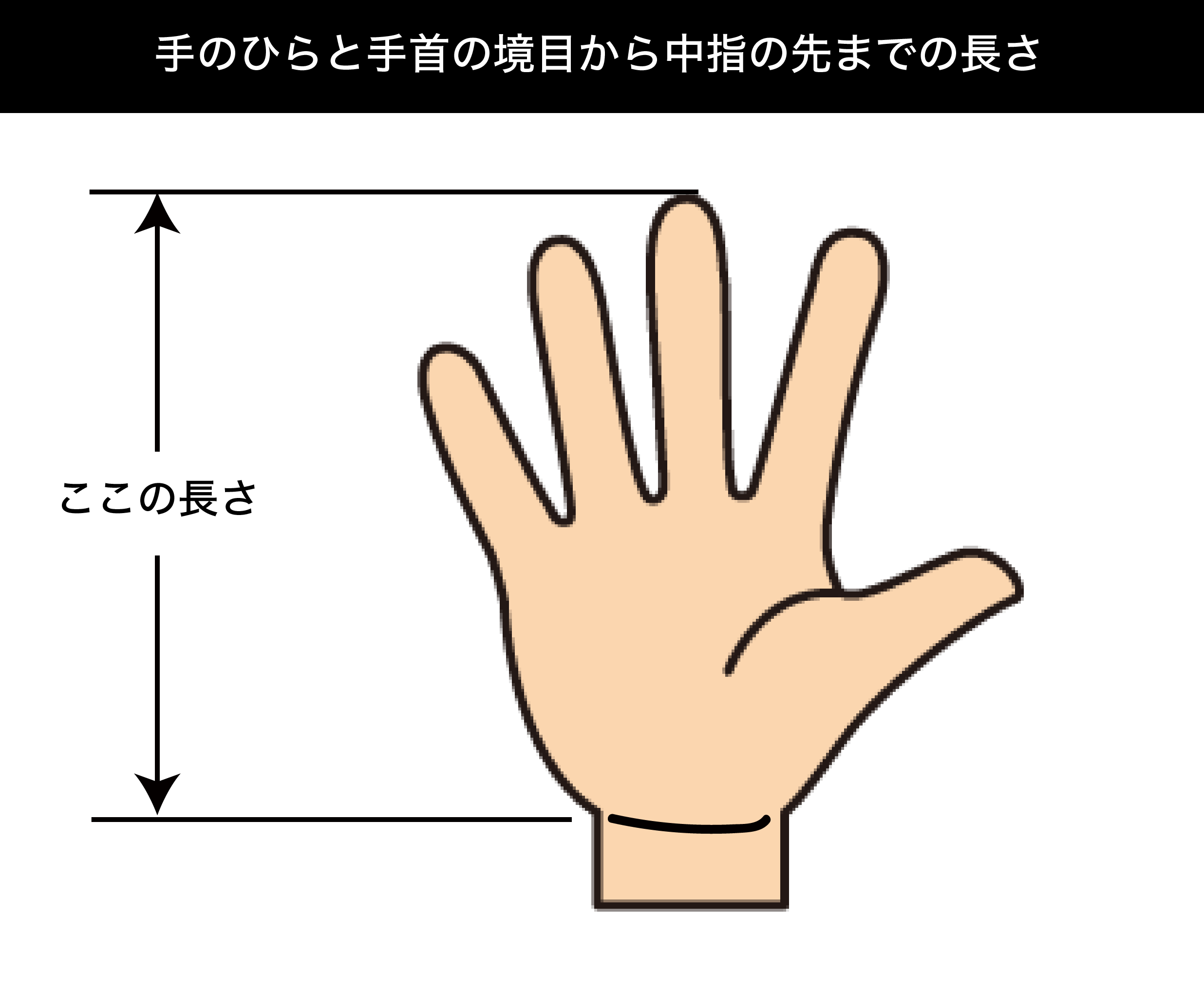 手のひらと手首の境目から中指の先までの長さ